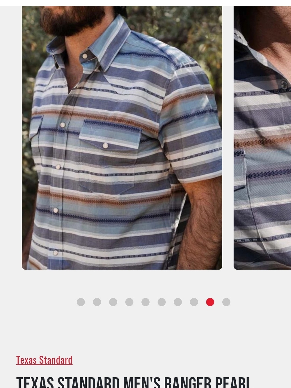 Texas Standard Men’s Short-Sleeve Striped Pearl Snap Shirt - Blue/Brown M